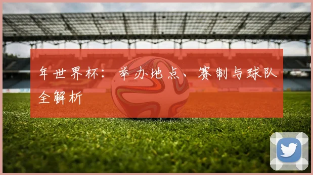 年世界杯:举办地点、赛制与球队全解析